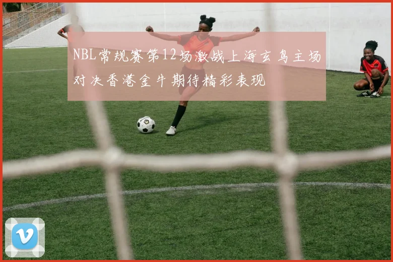 NBL常规赛第12场激战上海玄鸟主场对决香港金牛期待精彩表现